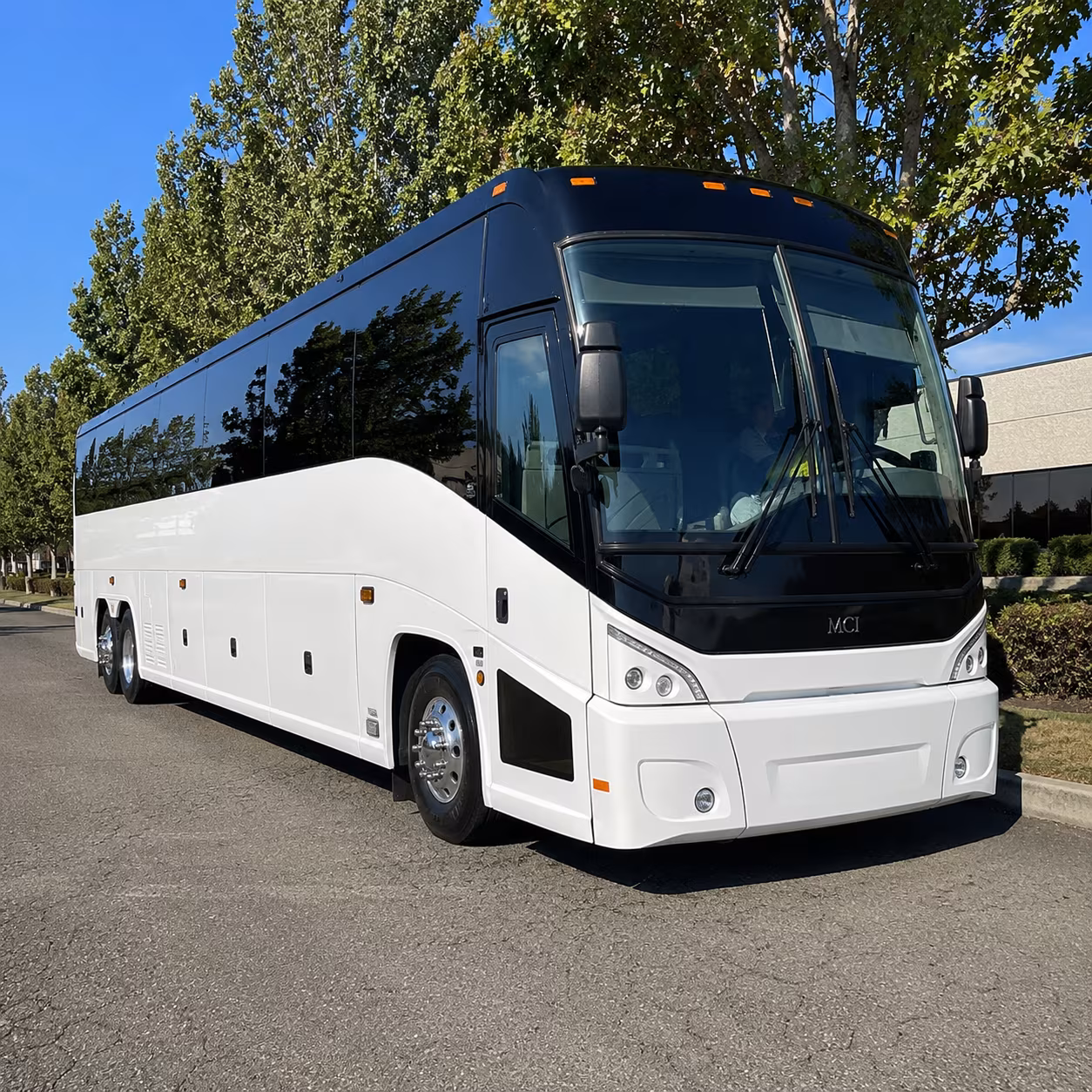ann arbor 50 passenger charter bus