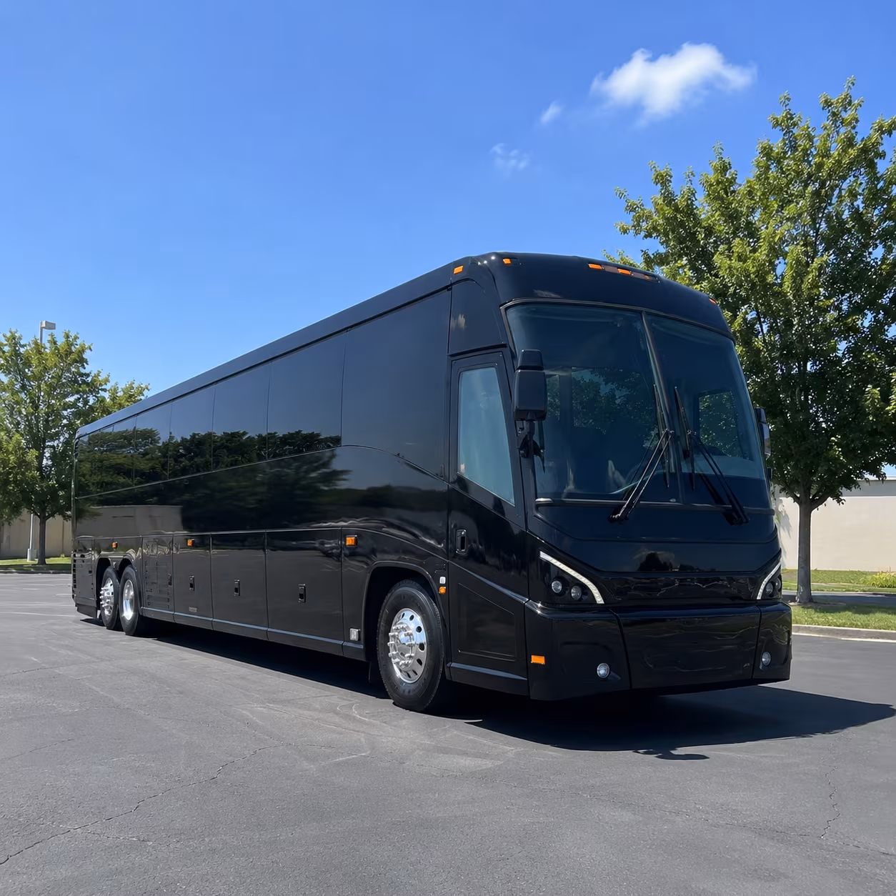 ann arbor 56 passenger charter bus