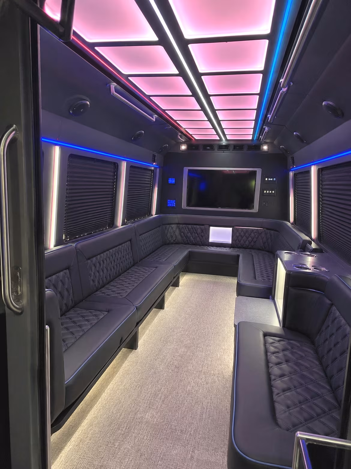 ann arbor birthday party bus rental