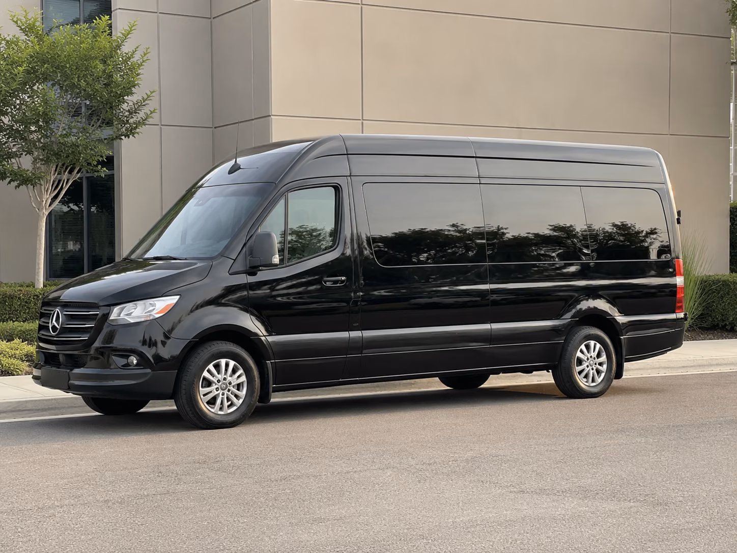 ann arbor birthday party transportation onboard seating